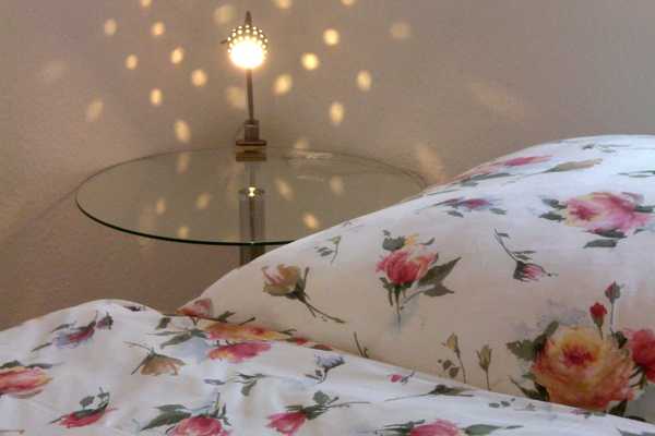 Ferienwohnung in Freiburg 6