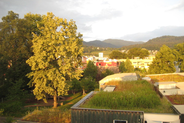 Bed and Breakfast in Freiburg 9