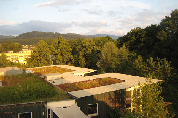 Bed and Breakfast in Freiburg 11