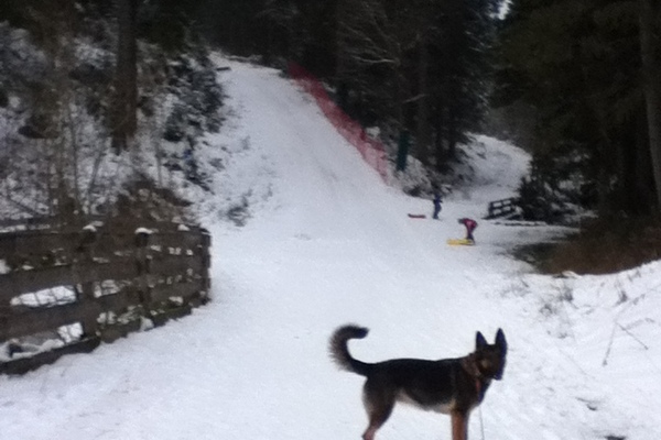 Ferienwohnung in Freudenstadt 1
