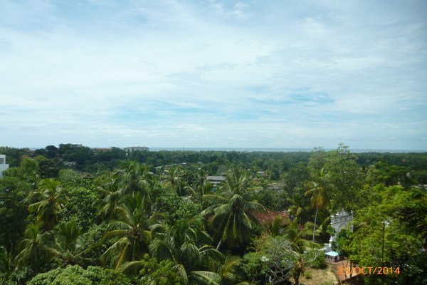 Bed and Breakfast in Galle 21