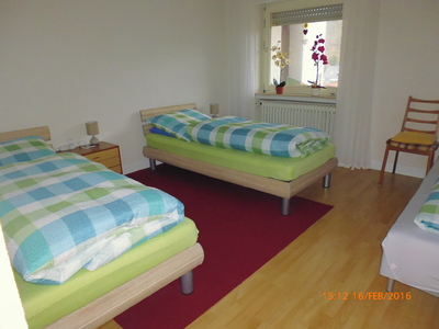 Buchen Sie günstige möbliertes Apartment in Gorxheimertal