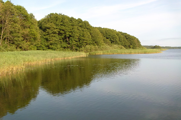 Ferienwohnung in Müritz 12