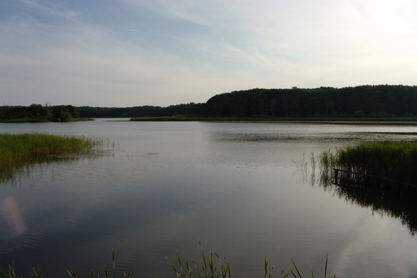 Ferienwohnung in Müritz 21