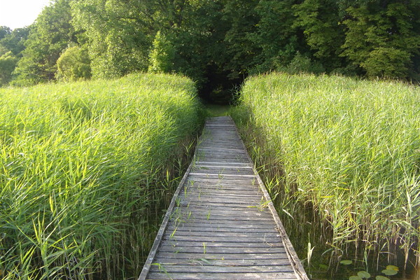 Ferienwohnung in Müritz 24