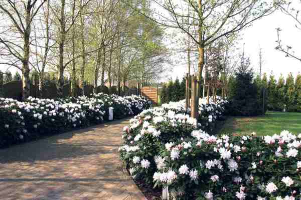 Ferienwohnung in Mittegroßefehn 8