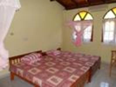 Buchen Sie günstige Hütte in hikkaduwa