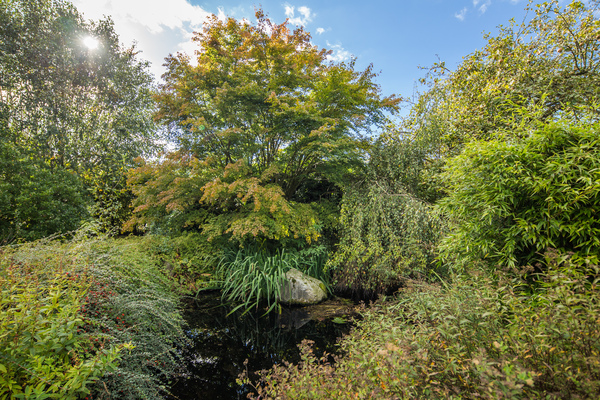 Bed and Breakfast in Hoisdorf 24