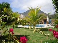 villa cocuyo -Apartments