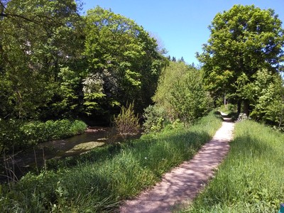 Buchen Sie günstige möbliertes Zimmer in Jünkerath