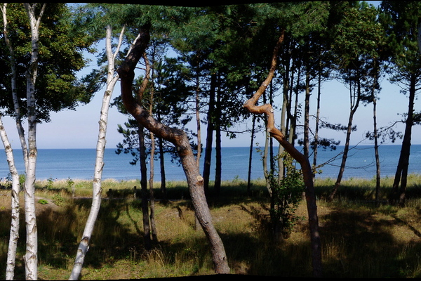 Ferienwohnung in Juliusruh 2