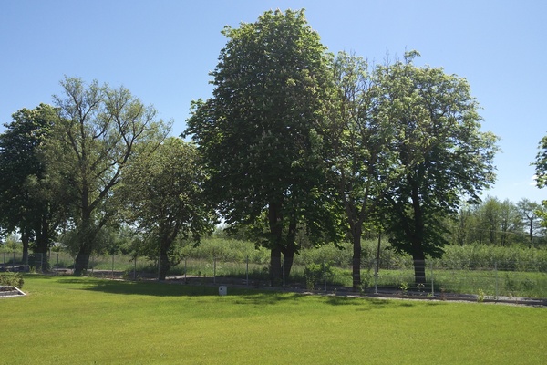 Bed and Breakfast in Kamień Pomorski 17