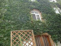 DOCUMENTA 14  am Weinberg