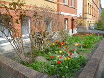 Ferienwohnung Am Weinberg