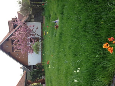 Buchen Sie günstige Ferienhaus in Kolkwitz OT Eichow