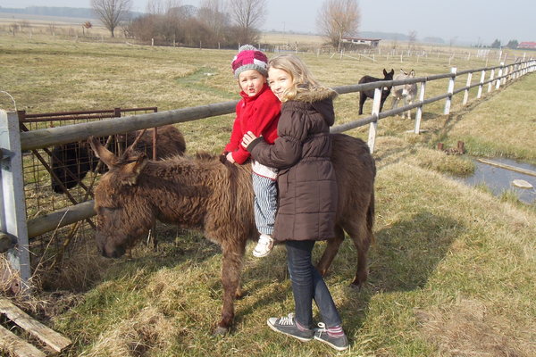 Bed and Breakfast in Kreien 5