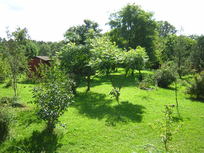 Ferien/Urlaub mit Hund II in Sommerfeld