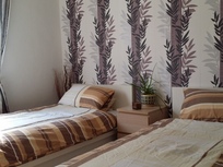 3 Zimmer Wohnung in messenähe