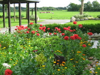Ferienhaus barrierefrei und Seniorengerecht