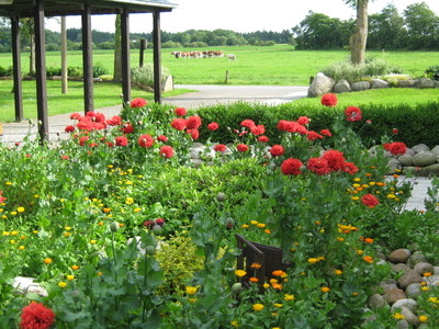 Buchen Sie günstige günstiges Ferienhaus in Ladelund