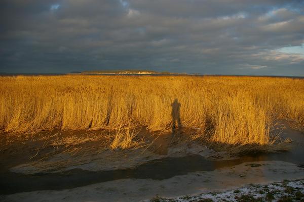 Ferienwohnung in Lassan 7