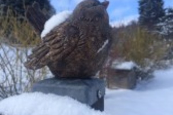 Haus in Luftkurort Lückendorf 3