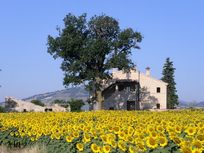 Buchen Sie günstige Urlaubsdomizil in Marche