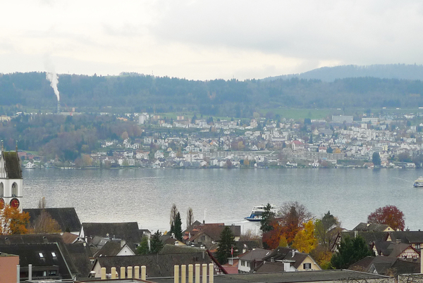 Ferienwohnung in Meilen 18