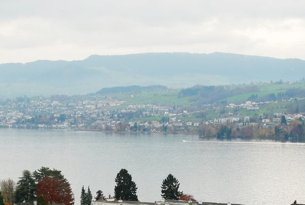 Ferienwohnung in Meilen 4