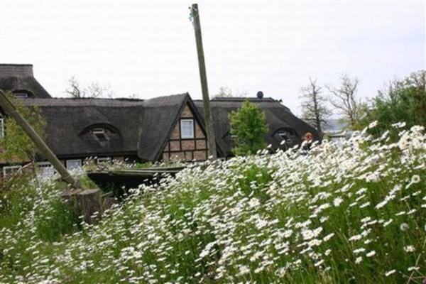 Ferienwohnung in Middelhagen 7