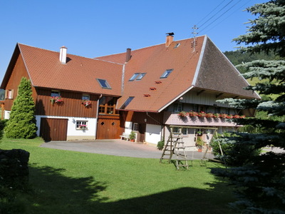 Buchen Sie günstige möbliertes Apartment in Münstertal schwarzwald