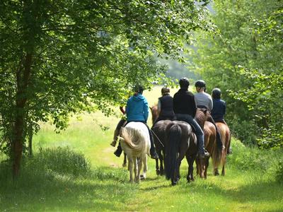 Buchen Sie günstige Ferienwohnung in Nahrendorf
