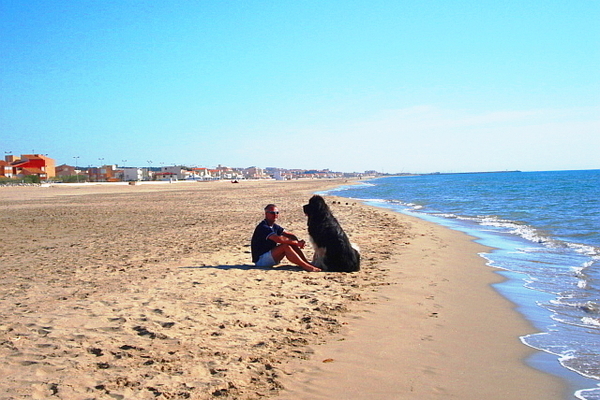 Haus in Narbonne-Plage 6
