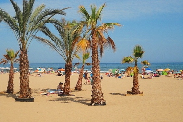 Haus in Narbonne-Plage 7