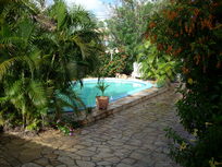 Welcome to our tropical paradise