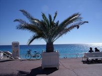 OVERLOOKING NICE - 2 STEPS TO THE BEACH!