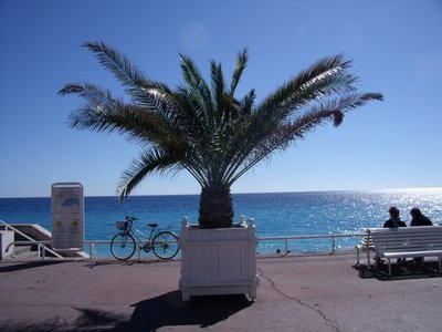 Buchen Sie günstige möbliertes Apartment in Nice