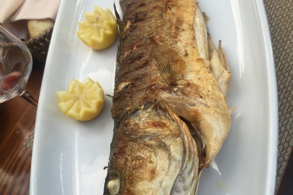 Ferienwohnung in Nin 18