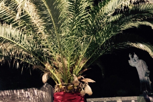 Ferienwohnung in Nin 8