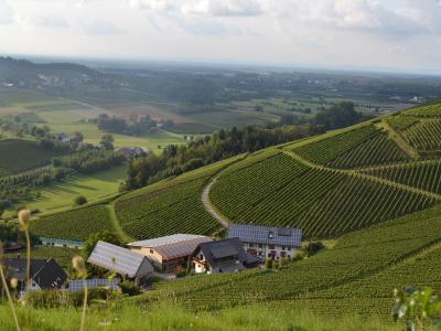 Buchen Sie günstige möbliertes Apartment in Oberkirch