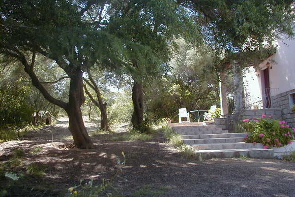 Ferienwohnung in Olbia 1