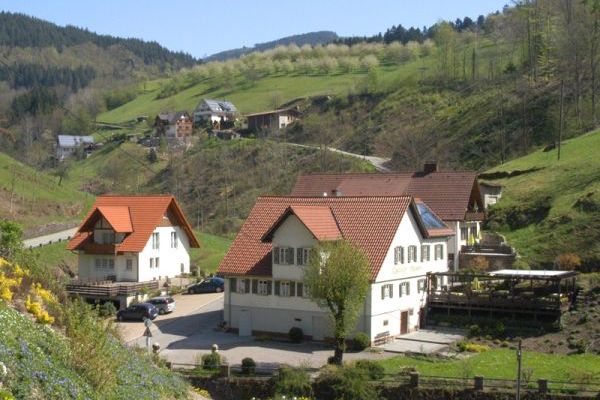 Ferienwohnung in Oppenau 2