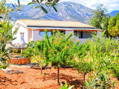 Buchen Sie günstige Ferienwohnung in Orosei