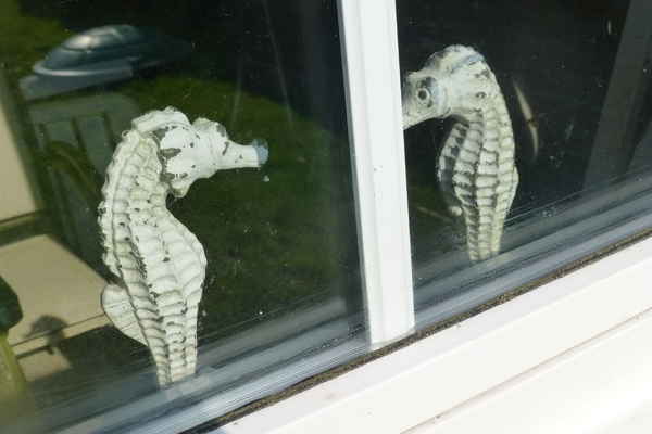 Haus in Otterndorf 19