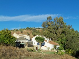 Molino-Malaga