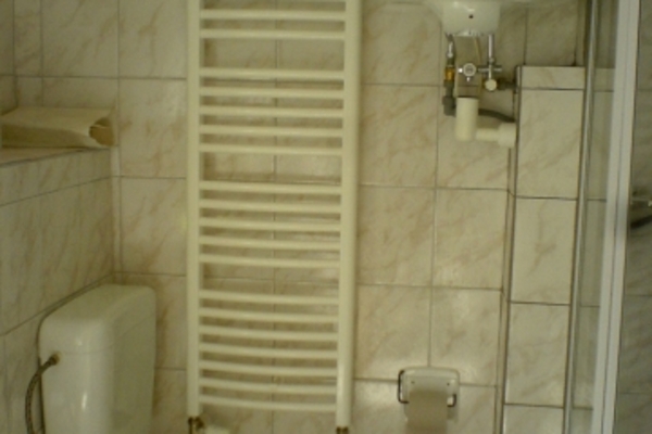 Ferienwohnung in Pöhl 1