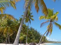 joli appartement à Punta cana