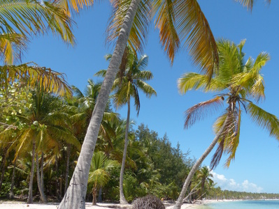 Buchen Sie günstige Ferienwohnung in bavaro