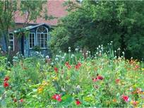 Altes Pfarrhaus Qualitz