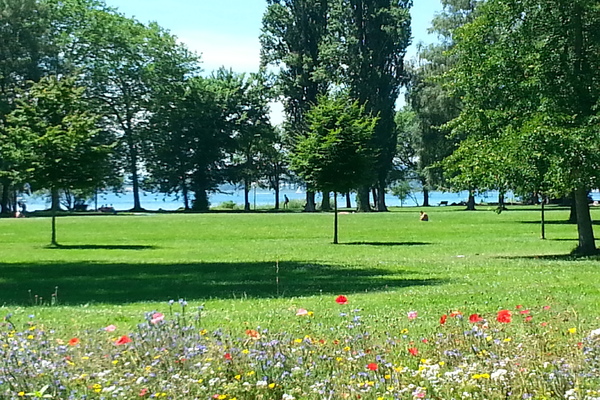 Ferienwohnung in Radolfzell am Bodensee 11